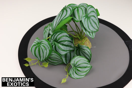 Plastic Reptile Plant Gray Marbled (1 Pack)