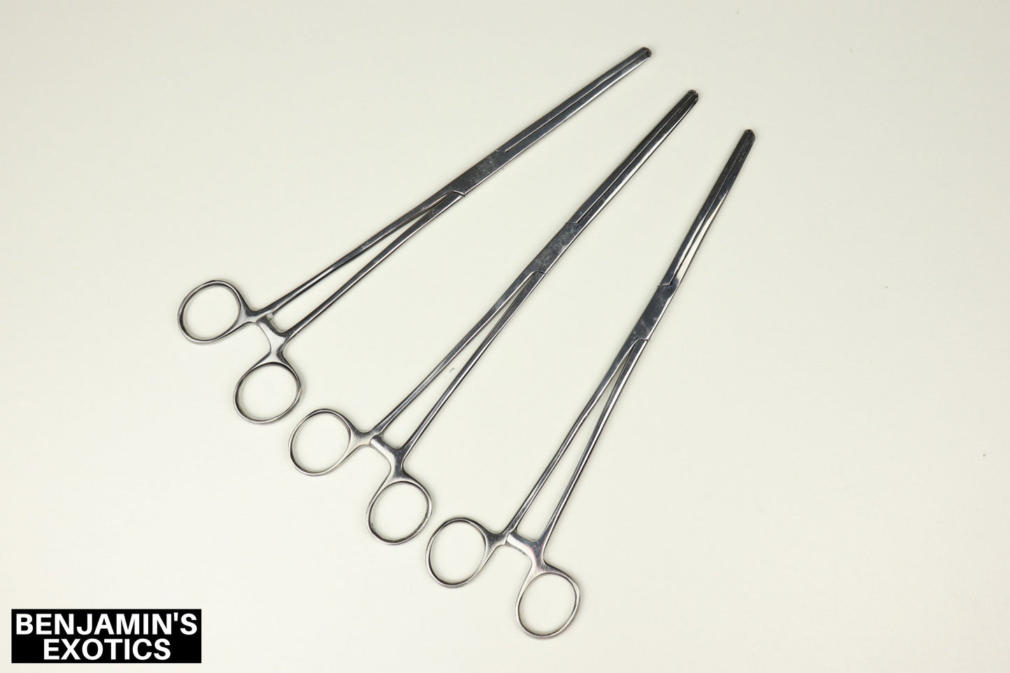 Reptile Hemostat 10" (1 Pack)