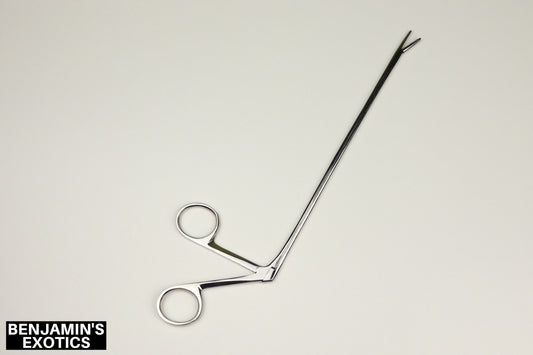 Alligator Hemostat 10" (1 Pack)