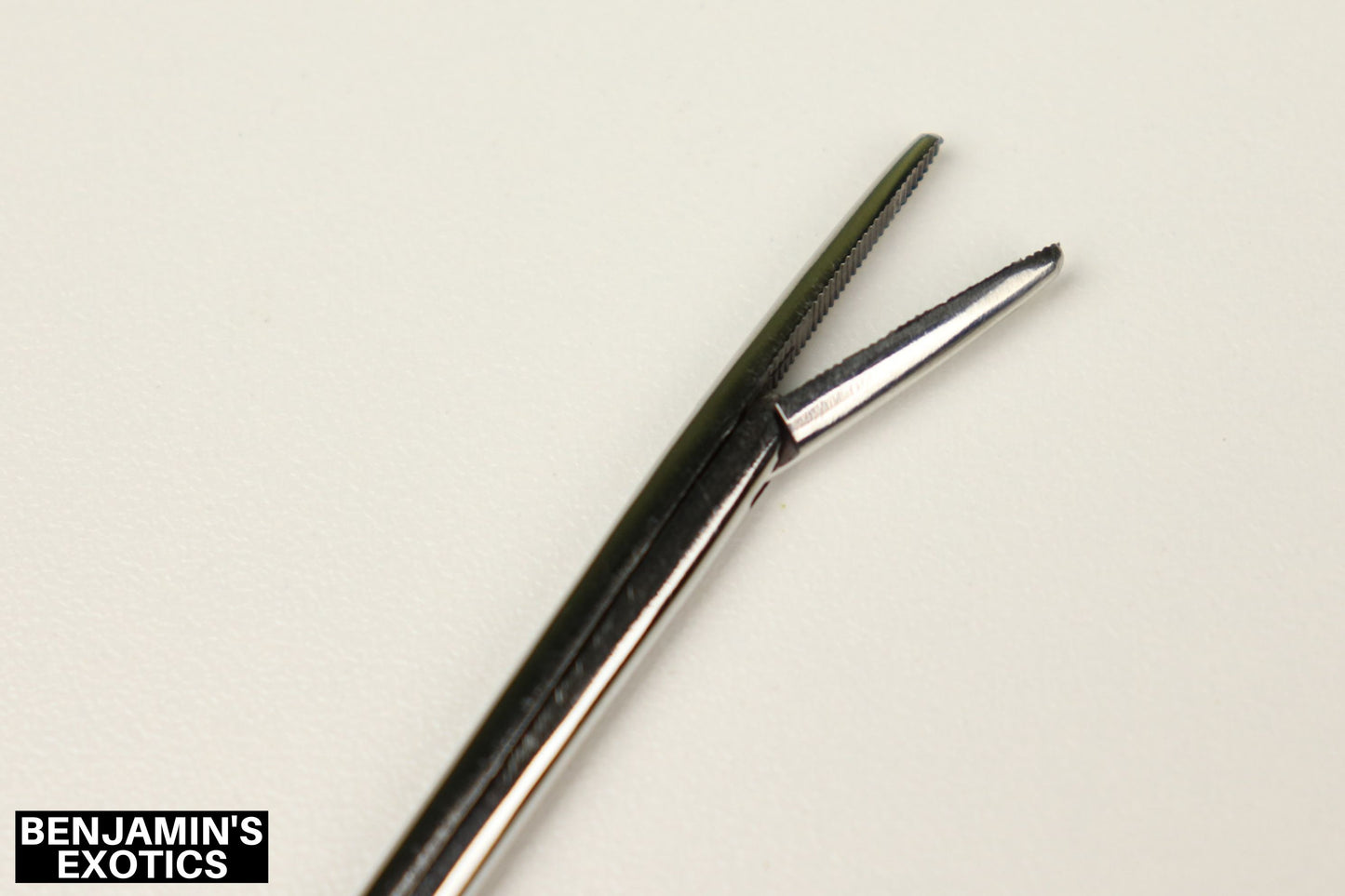 Alligator Hemostat 10" (1 Pack)