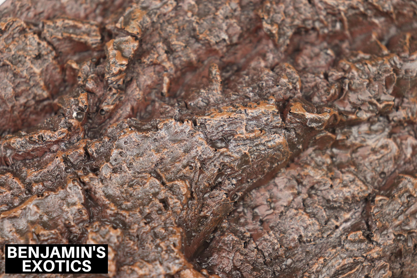 Reptile Platform Resin Bark (1 Pack)