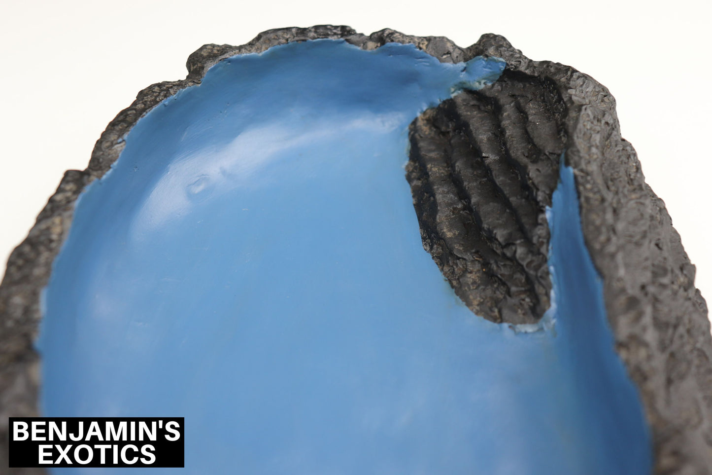Water Dish Resin Ocean Rock Large (1 Pack)
