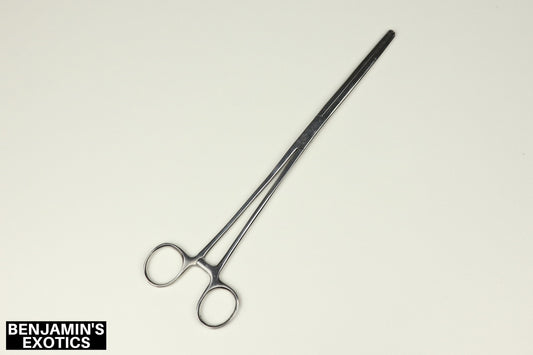 Reptile Hemostat 10" (1 Pack)