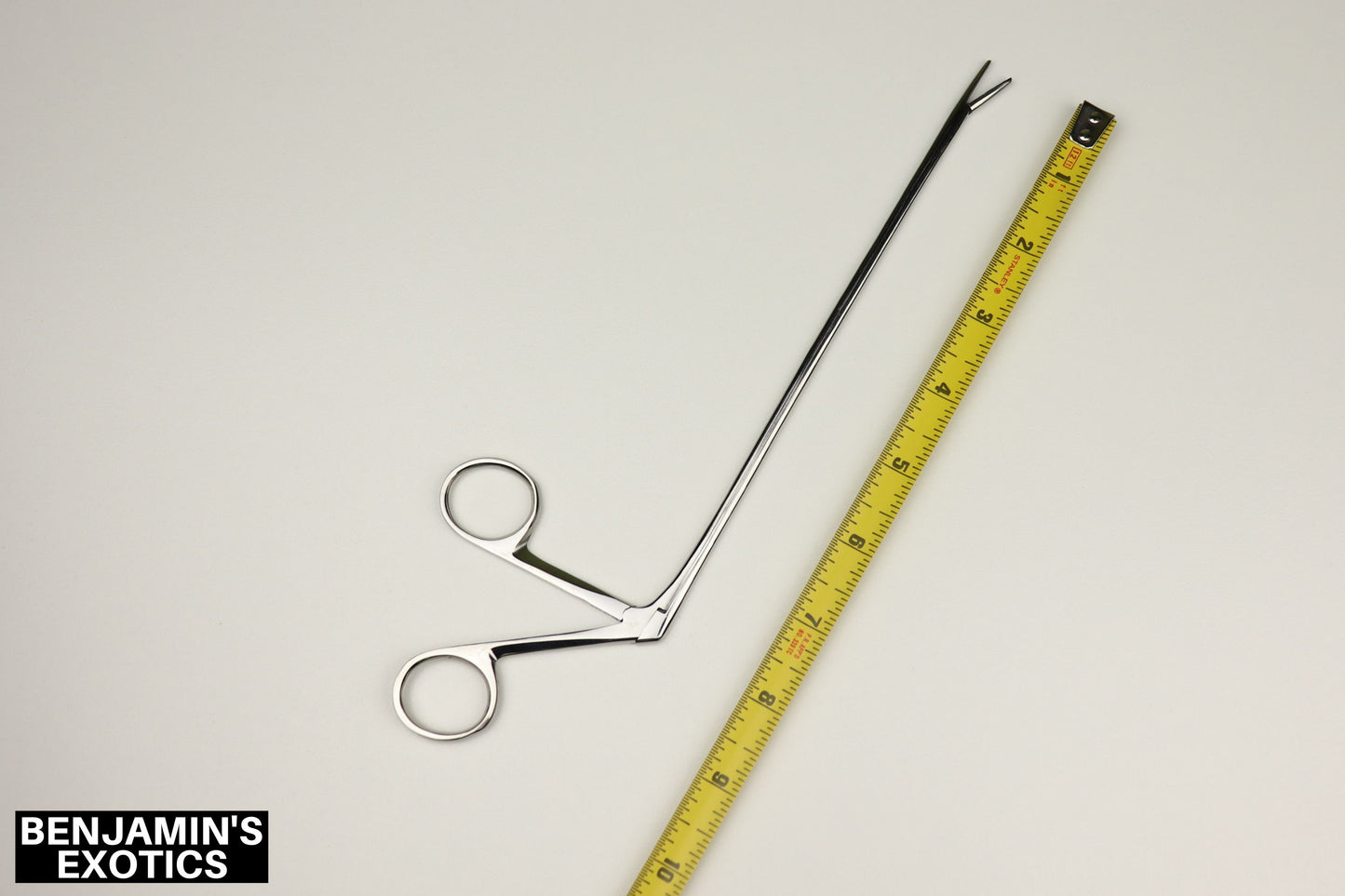 Alligator Hemostat 10" (1 Pack)